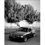 CAR GANG FOR LIFE BRO!