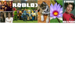 WWHPlili ROBLOX FAN CLUB!!!!