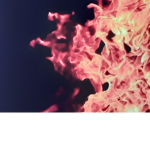 Flaming group2