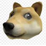 T || D || E || The Doge Empire