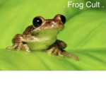 • Frog Cult •