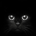 Live In Darkness
