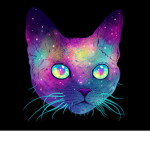 The Mega Cats Group!