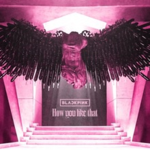 .}K-pop fan club{.