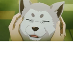 PUPPY FANSSS