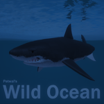 Wild Ocean