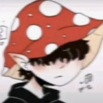 SH4DOWB4E