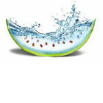 WATERMELON WARRlORS