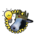 Moo Productions.co