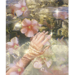 Jessica-lilyflowers