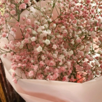 ｡ﾟ• florals fan group