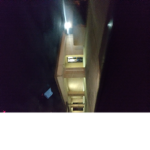 The family of Gladius crow.