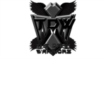 The Dark  Fighters