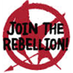 District 13 Rebels of Panem