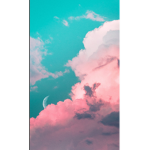 CxVibesgrouppp