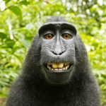 Monkee God Gang