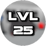 Level 25