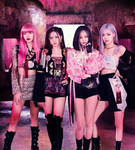 Blackpink & blink group