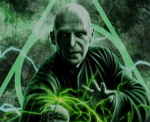 Voldemort fam