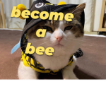 team roblox pro