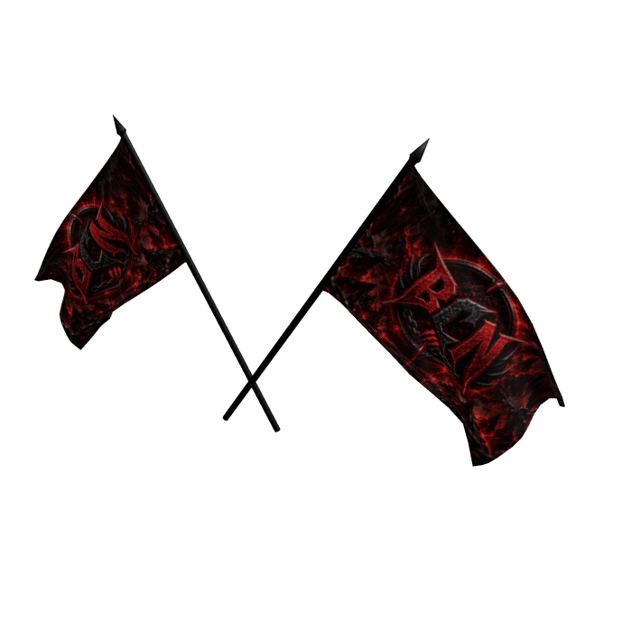 BCN Flag 1.0