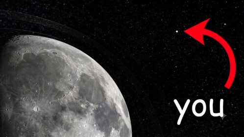 🚀 Launch To Moon!