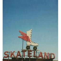 Skate Land