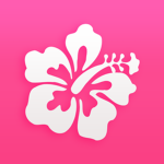 Koyoka