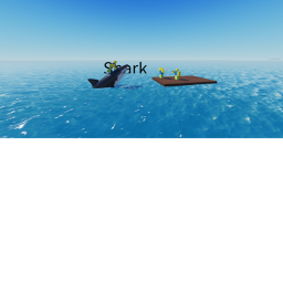 Shark attack but no quality