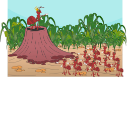 The KING Ant's war base
