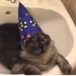 Mystical Wizards