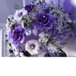 Lilac.zz