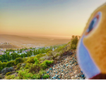 Porgs Unite!