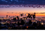 Los Angeles Police Department LAPD.
