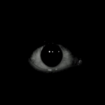 [TURK] Sohbet oyunu(beta)