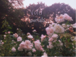 Void_portals