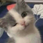 gatopan