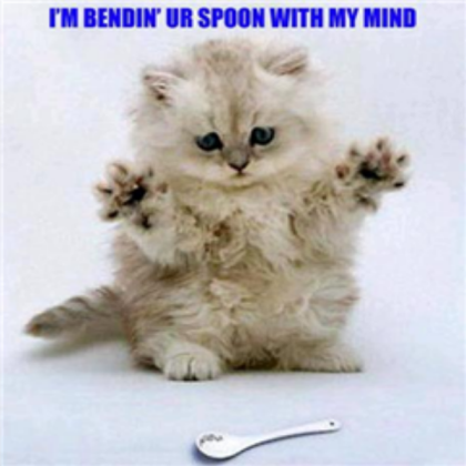 Funny Cat Roblox decal