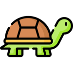 Slow & Steady wins the race!