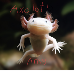 AxoAxoAxolotl