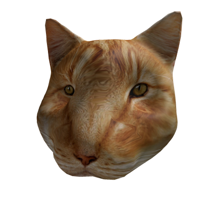Massive Orange Cat Head