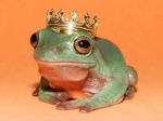The King Of Frogs Group