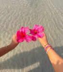-Lily’s icons-