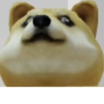 DOGE DUDES.
