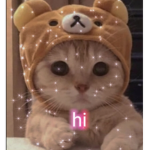 Cat avacodo squad ･ω･