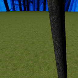 A Picnic in the Forest on Friday the 13th...