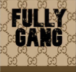 FULLY-GANG