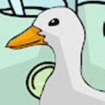DuckDuckGOOSE!