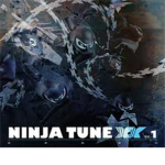 THE NINJA KNIGHTS