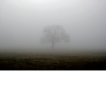 mist..... sigh